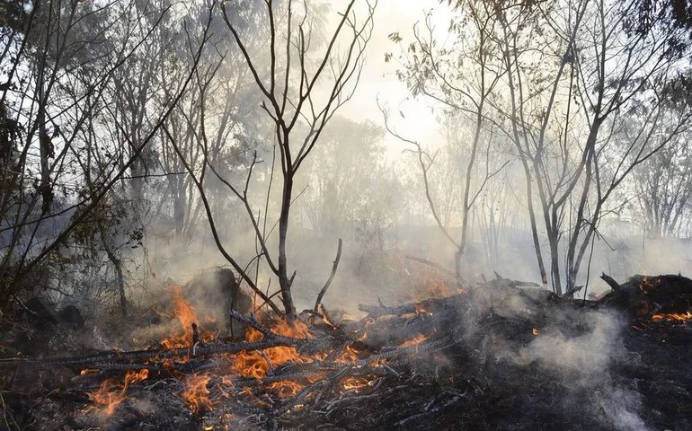 Incêndios florestais fora de controle causam evacuação no oeste do Canadá