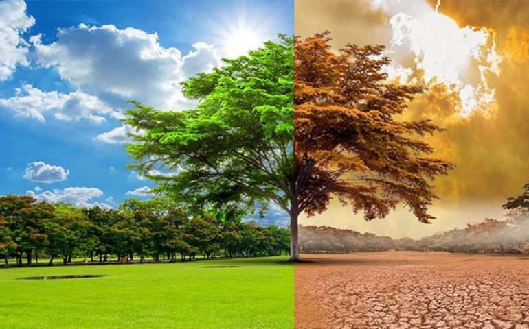 América do Sul pode perder até US$ 17 trilhões por mudanças climáticas até 2070