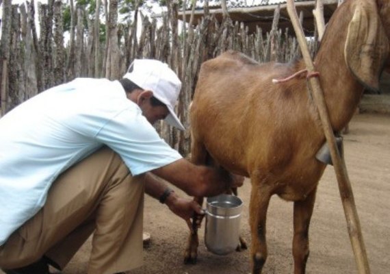Financiamento da Desenvolve chega a comerciantes de Chã Preta