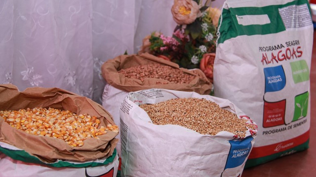 Agricultores recebem 7 mil quilos de sementes em Delmiro Gouveia