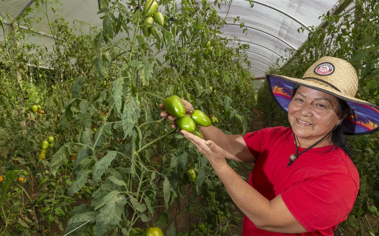 Liderança nacional do Paraná na produção de orgânicos tem certificação do Tecpar