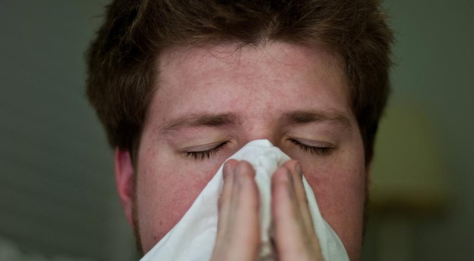 gripe_0.jpg / Foto: Foto: EBC