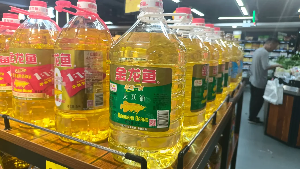 China investiga se óleo de cozinha foi transportado em caminhões de combustível