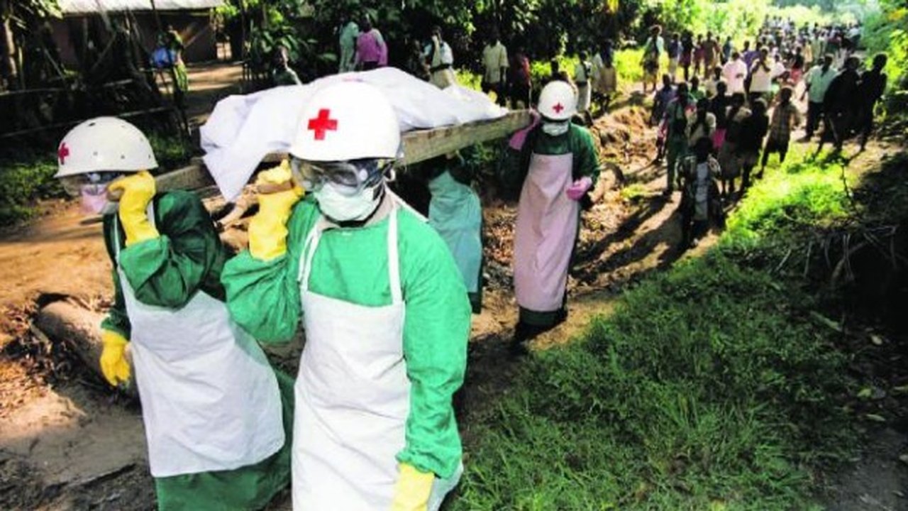 Ebola: Médicos sem Fronteiras rejeitam dinheiro e pedem envio de pessoal