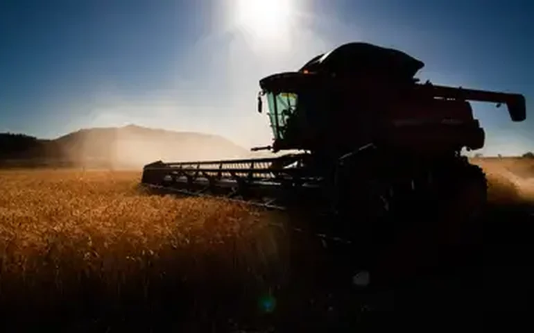 Abimaq: Vendas totais de máquinas agrícolas caíram 11,5% na passagem de fevereiro para março