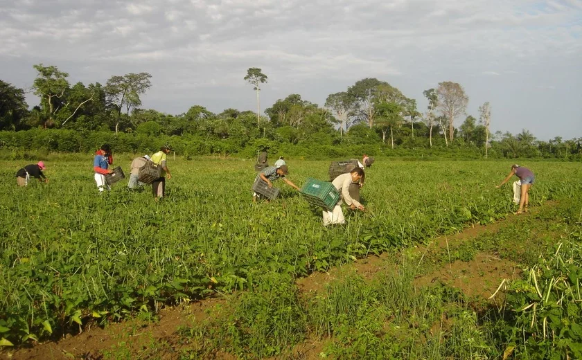 Confiança de produtores rurais dos EUA cai pelo segundo mês seguido em julho