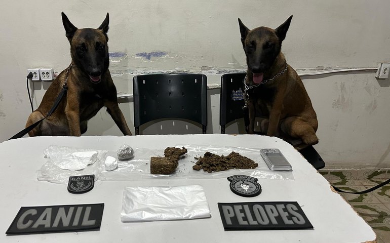 PM apreende drogas com auxílio de cães farejadores durante ações no Agreste