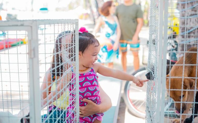 Feira de Adoção encerra o ano com imunização e 95 animais adotados