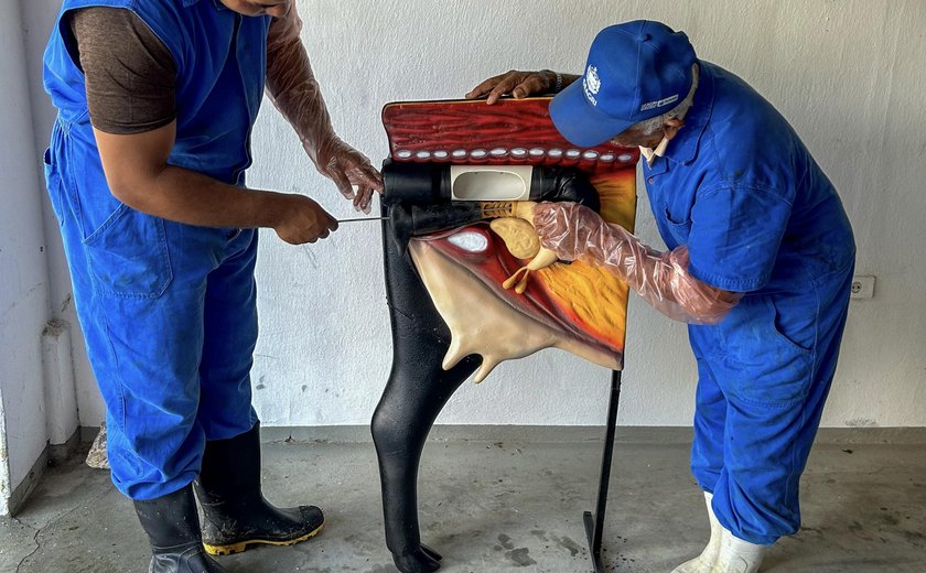 Agricultura entrega novo manequim para Curso de Inseminação Artificial