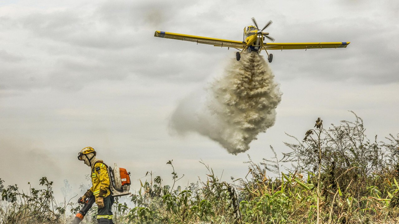 Trump suspende financiamento da USAID para combater incêndios florestais no Brasil