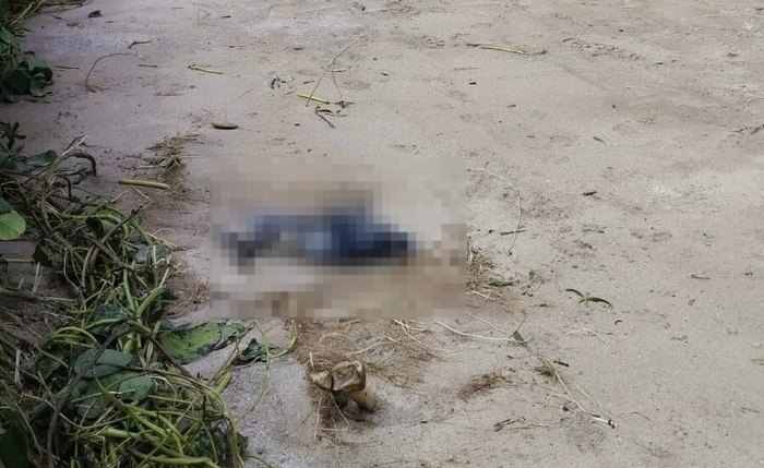 Ossada humana é encontrada em restinga de São Miguel dos Milagres