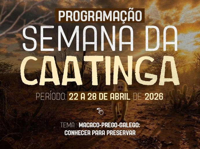 No Sertão de AL, Delmiro lança Semana da Caatinga com foco no macaco-prego-galego