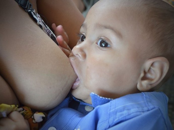 Sesau realiza capacitação sobre segurança alimentar e manuseio de leite humano