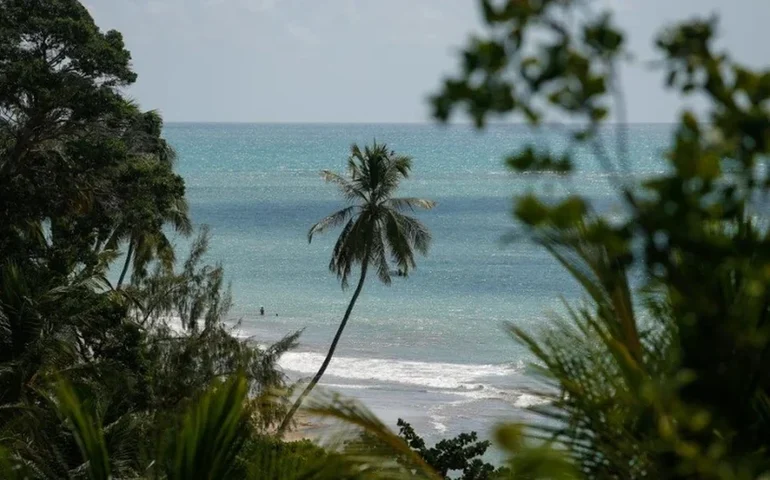 Russo resgatado após 67 dias no mar conta como sobreviveu: água da chuva e saco de dormir de lã