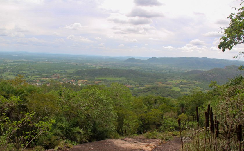 Mês do Meio Ambiente: Videoaulas levam educação ambiental para a população e mostram as belezas de Alagoas