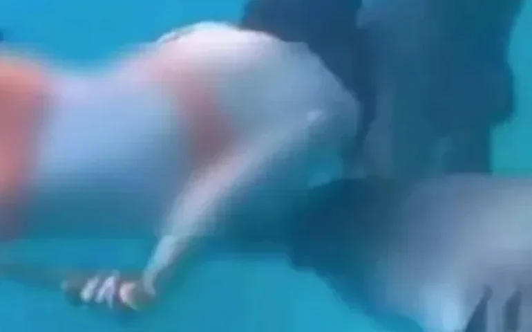 Turista é atacada por tubarão nas Maldivas após tentar interagir com o animal