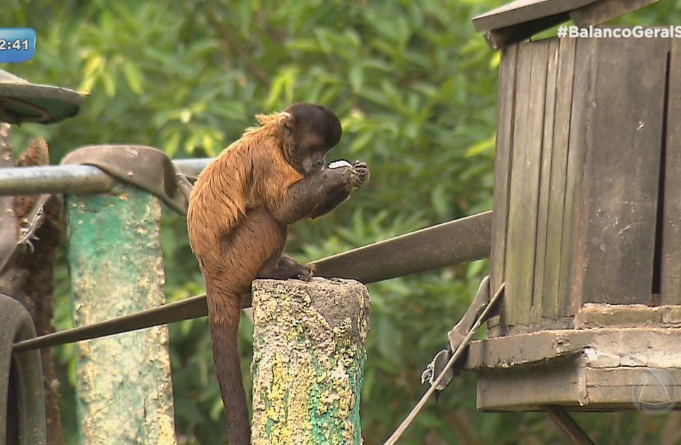 Zoológico de Aracaju é interditado ao apresentar irregularidades