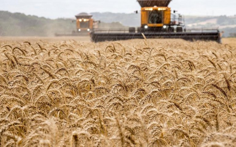 Índice de Preços de Alimentos da FAO recua pelo 4º mês consecutivo