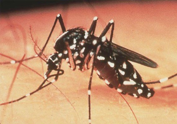 Saúde promove ação de prevenção contra Dengue, Zika e Chikungunya