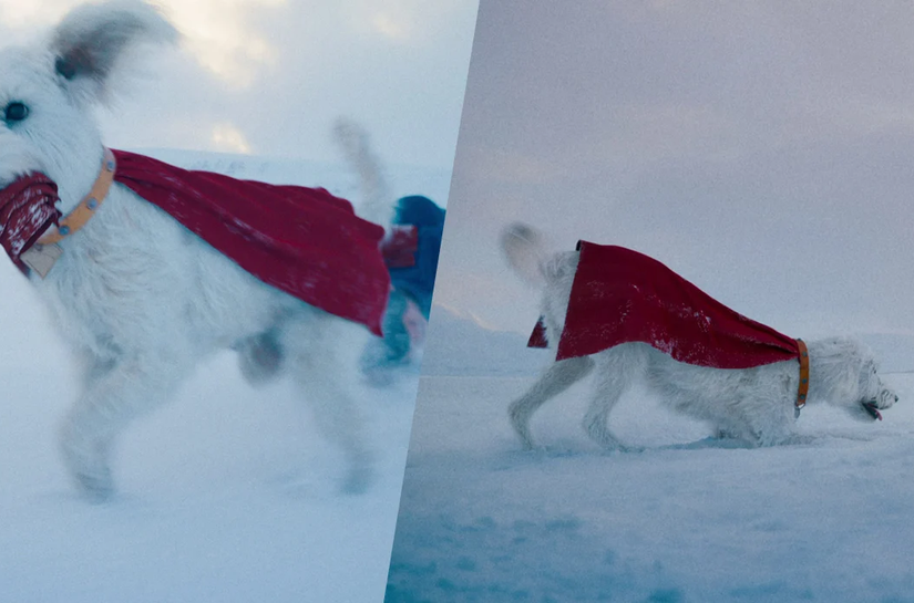 Conheça o cachorro real que inspirou Krypto, super-doguinho que rouba a cena no novo 'Superman'