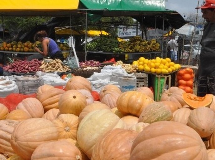 Iteral promove 1ª Feira Agrocultural dos Povos Tradicionais e Agricultores