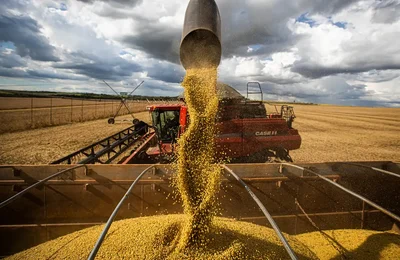 Queda no preço dos alimentos vai permanecer, diz ministro Paulo Teixeira