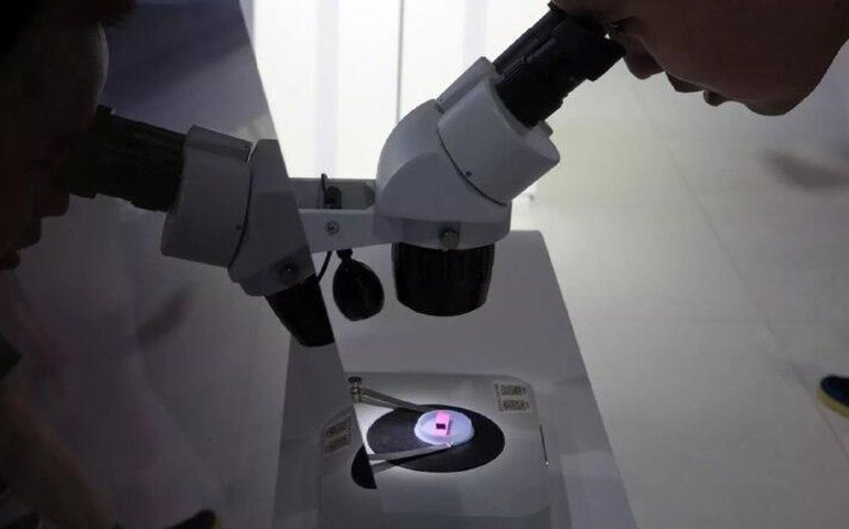 Mundo teme guerra por semicondutores com ascensão da China e alerta o Ocidente