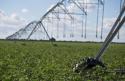 Estratégias de nutrição inteligente impulsiona a produtividade das lavouras brasileiras