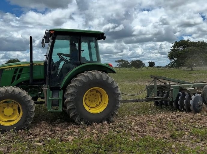 Agricultores familiares de Penedo estimam colher mais de 120 toneladas de feijão