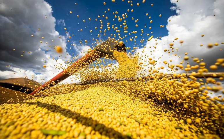 Estimativa de menor safra de soja, milho e sorgo puxa para baixo revisão de setembro do IBGE