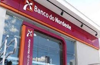 Programa de Desenvolvimento Territorial do BNB incentiva mandiocultura e bovinocultura no agreste alagoano