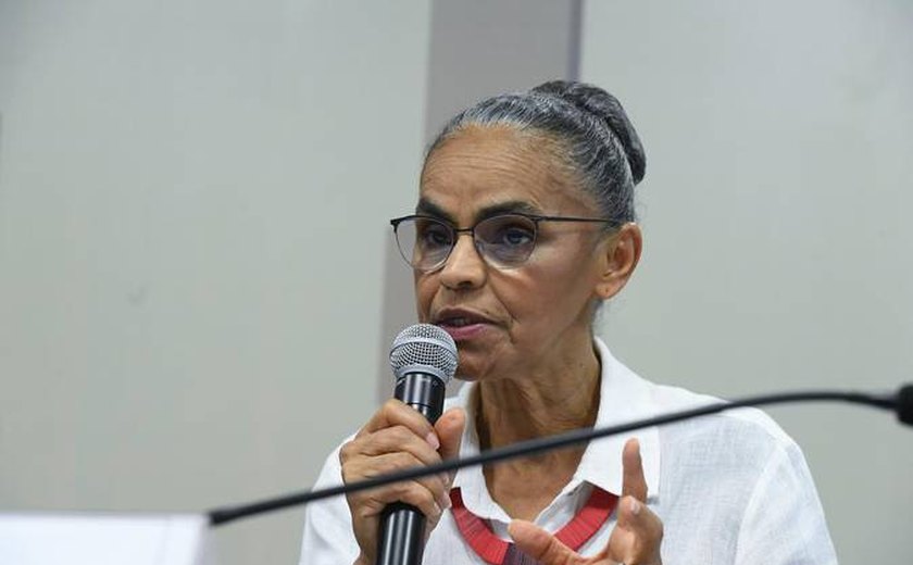 Senadores querem ouvir Marina Silva sobre queimadas no país