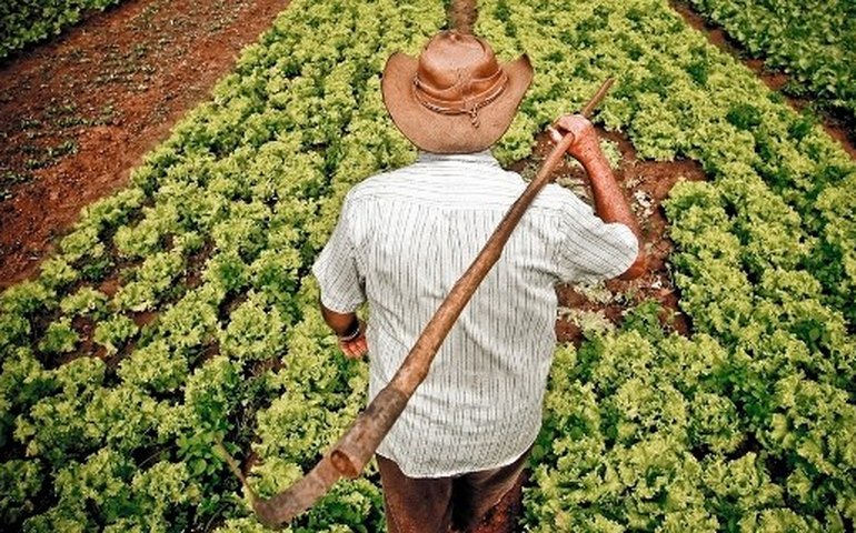 30 mil agricultores familiares do Agreste vão receber apoio estadual
