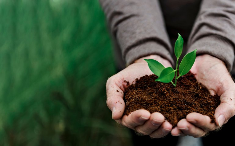 Conheça 6 práticas pedagógicas para engajar os estudantes na proteção ao meio ambiente