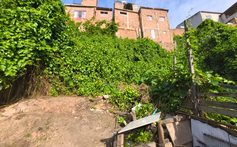 Arapiraca tem 13 áreas de risco onde vivem mais de mil pessoas, segundo o Serviço Geológico do Brasil