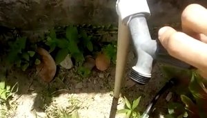 Moradores do povoado Camboatá relatam falta de água na região / Foto: Foto: Redes Sociais/ Reprodução