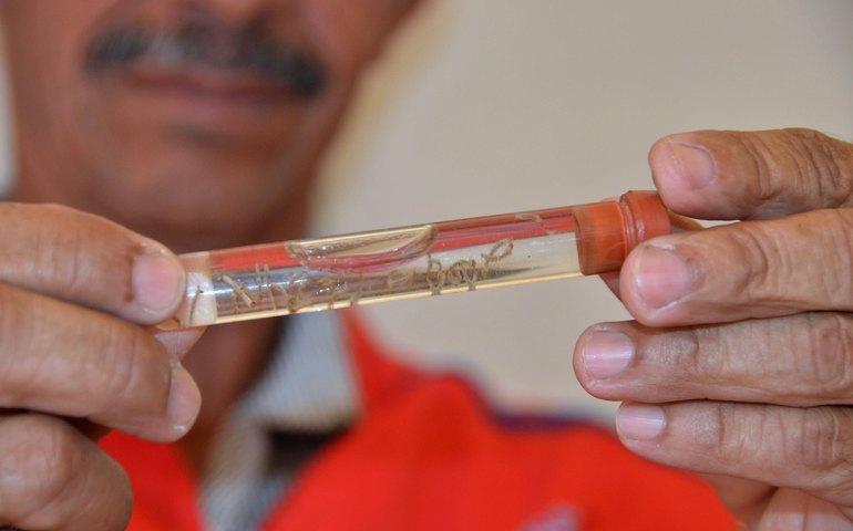 Alagoas adere ao Dia D de Mobilização Nacional Contra a Dengue neste sábado