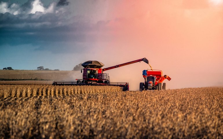 Em 12ª estimativa para safra 2021/22 de grãos, Conab mantém previsão de recorde