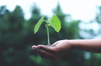 Últimos dias de inscrição para a primeira edição do evento Construindo Alagoas Sustentável