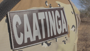 POLÍCIA CAATINGA