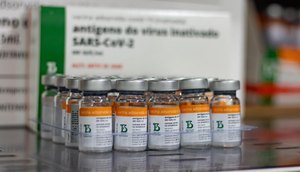 Aracaju começa a distribuição das 10 mil doses da Coronavac / Foto: Foto: SES/ Divulgação
