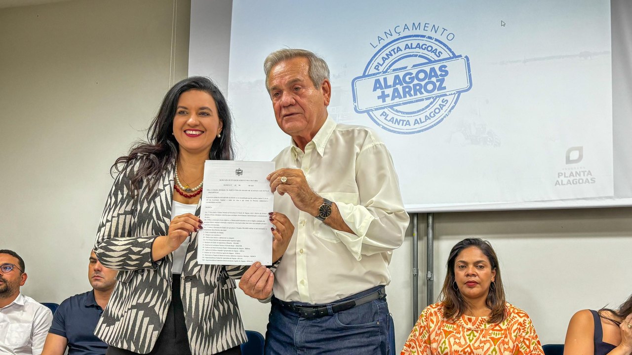 Produção de arroz  tem potencial de crescer mais de 40% com investimentos do Governo de Alagoas