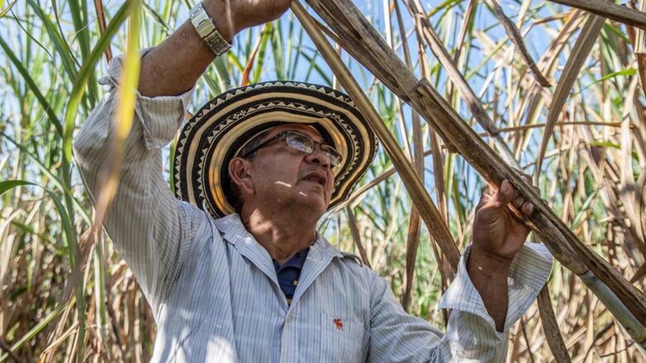 Alagoas se destaca como 3° estado do Nordeste que mais cresceu em 2019, segundo IBGE