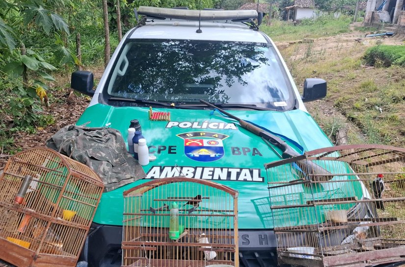 Após denúncia anônima, homem é preso com armas em cativeiro de aves silvestres