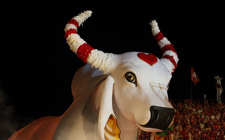 Parintins: Boi Garantido, uma história de fé, arte e compromisso