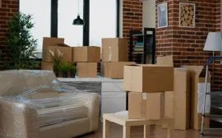 Relatório inédito do Muda Muda revela principais rotas de mudança no Brasil e destaca centralidade de São Paulo