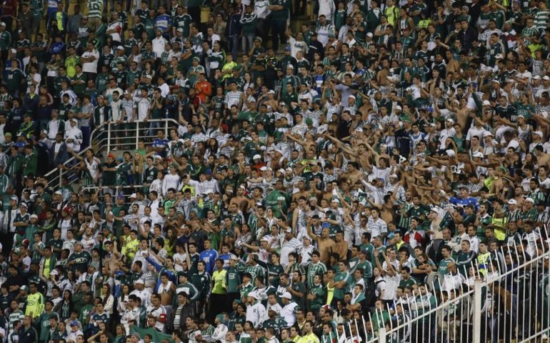 Torcedores do Palmeiras relatam ofensas racistas em jogo no Equador