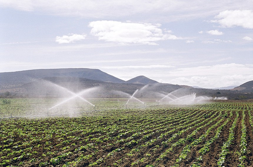 Irrigação abrange 1,7 milhão de hectares e reforça segurança alimentar