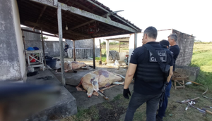 o / Foto: Foto: Ascom SSP/SE