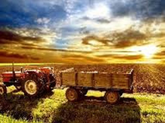Melhora na percepção da economia faz agronegócio recuperar otimismo